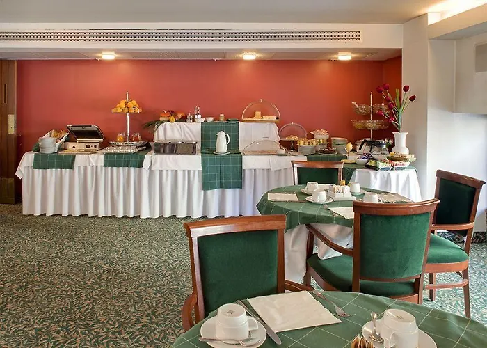 City Hotel فندق